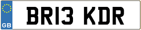 Trailer License Plate